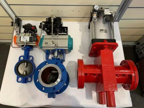 alpha氣動閥門在蒙古國uhg選煤廠成功應用并完美替代歐美產品